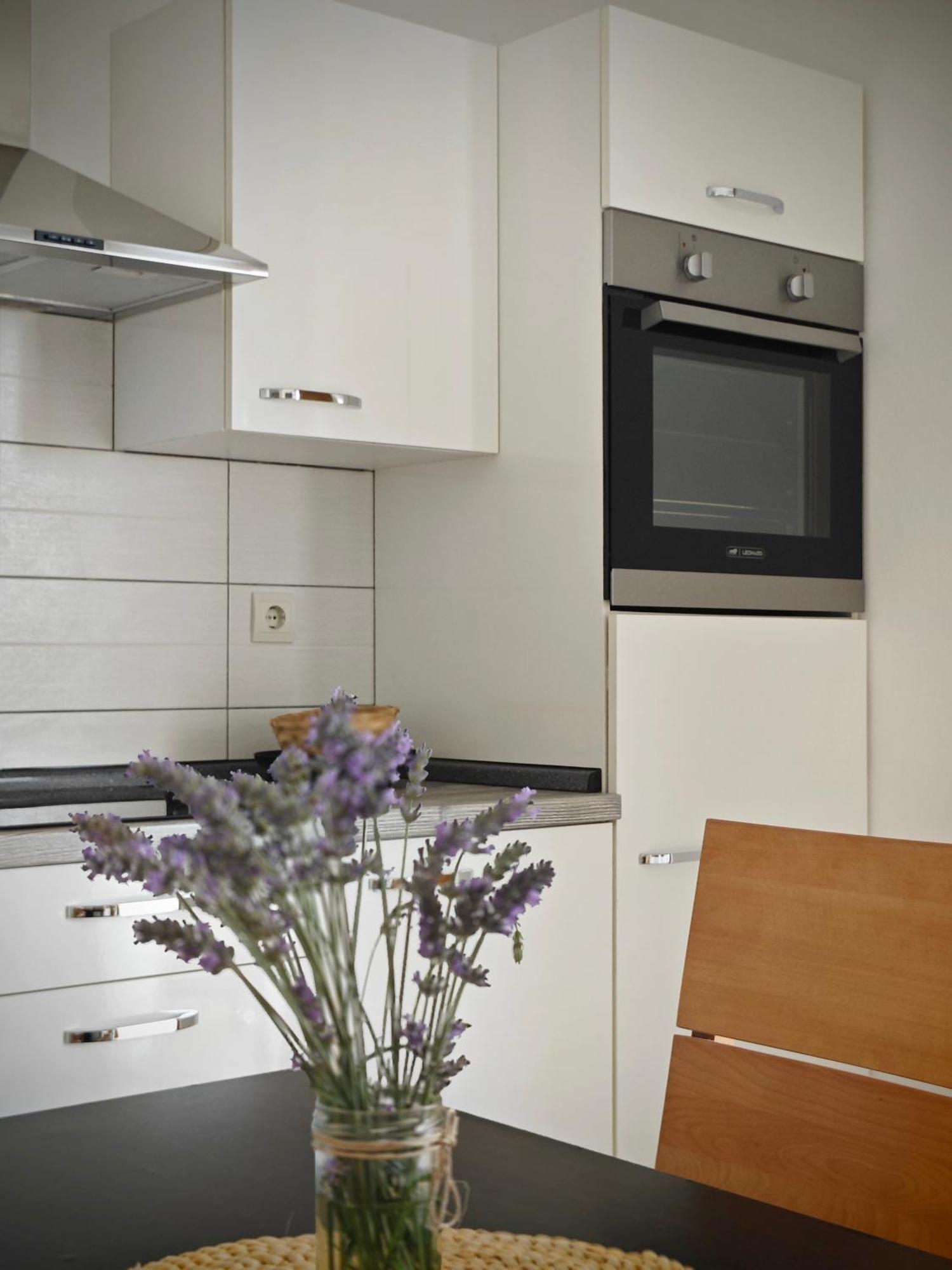 Apartment Arta ヴォディツェ エクステリア 写真