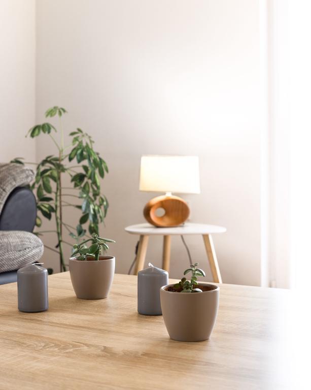 Apartment Arta ヴォディツェ エクステリア 写真