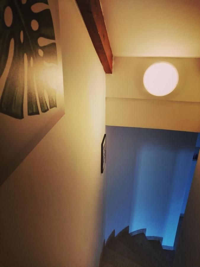 Apartment Arta ヴォディツェ エクステリア 写真